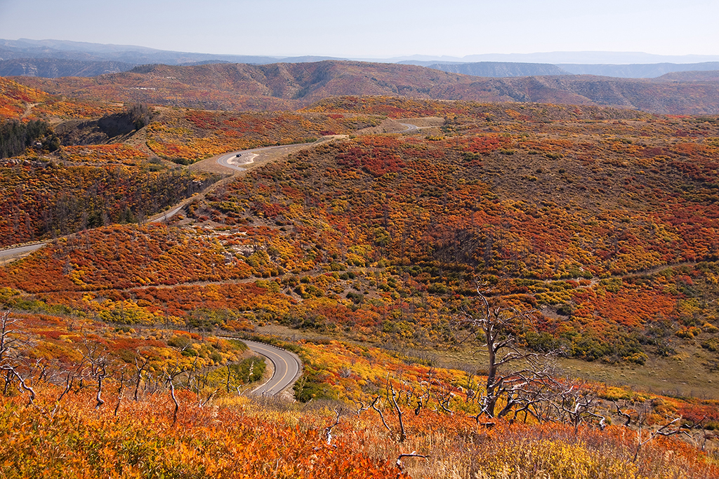 17_Mesa Verde National Park_4.jpg